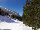IMG 20190312 104106