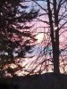 IMG 20190312 184807