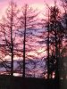 IMG 20190312 184815